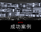 成功案例